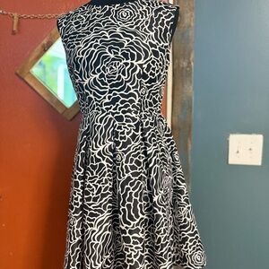 The Limited Black and White Fit and Flare Midi Dress